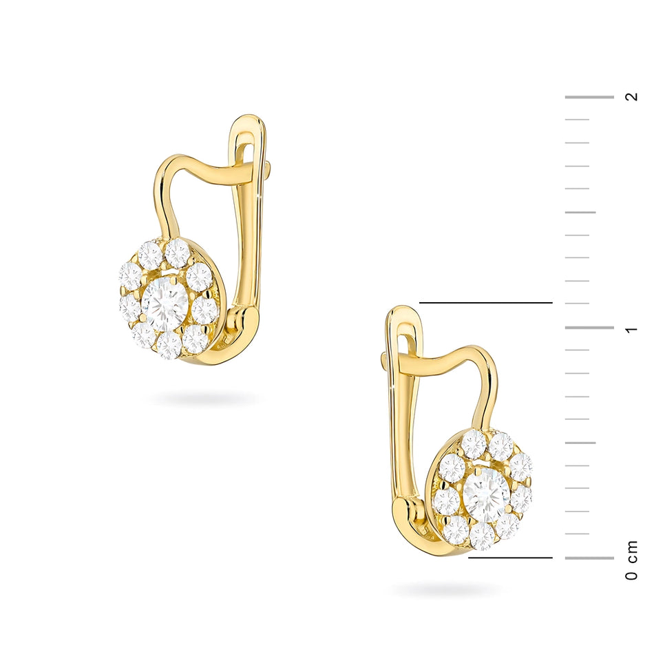 Gold Earrings with Zirconia