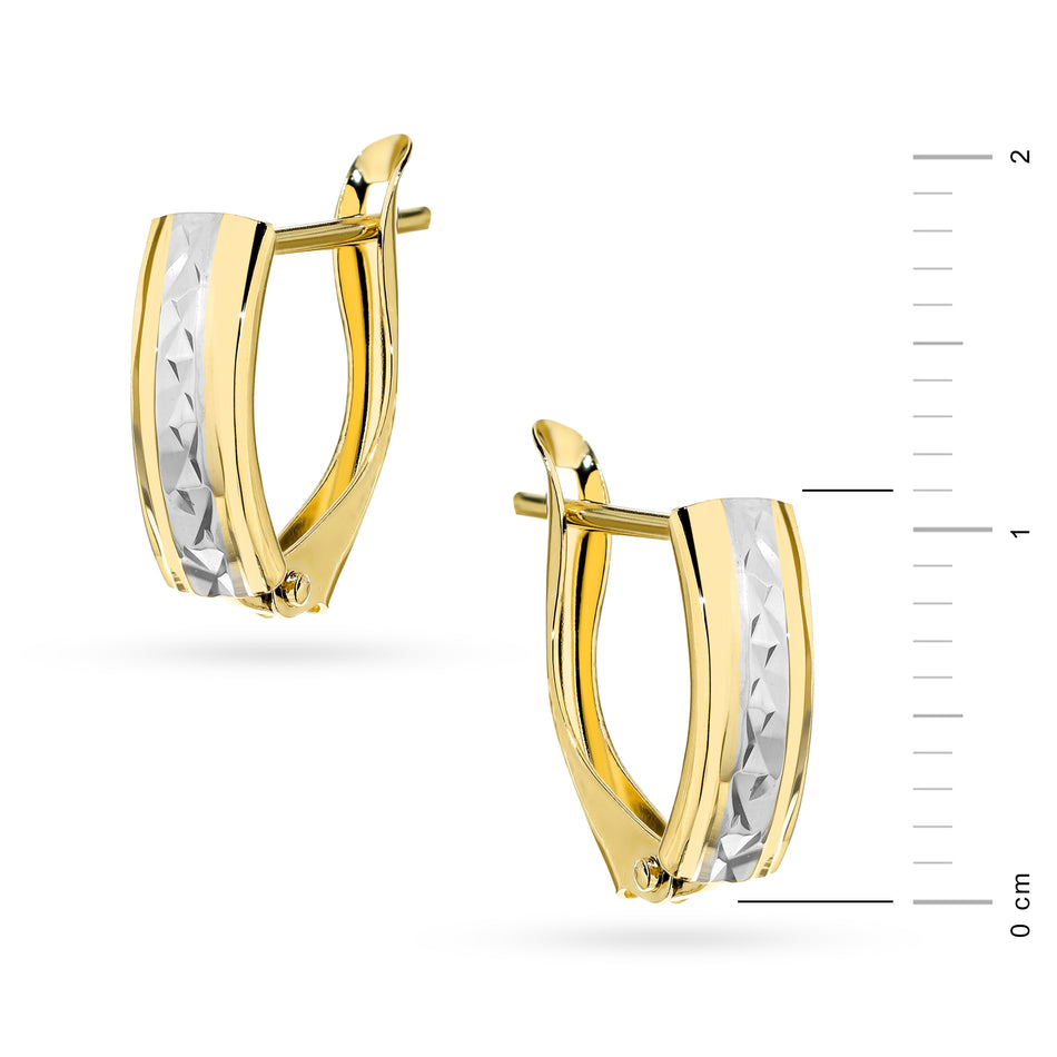 Two-color Gold Earrings with English Clasp Rectangular