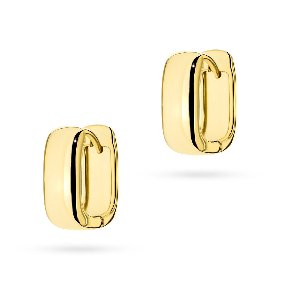 Pozlacené Stříbrné náušnice