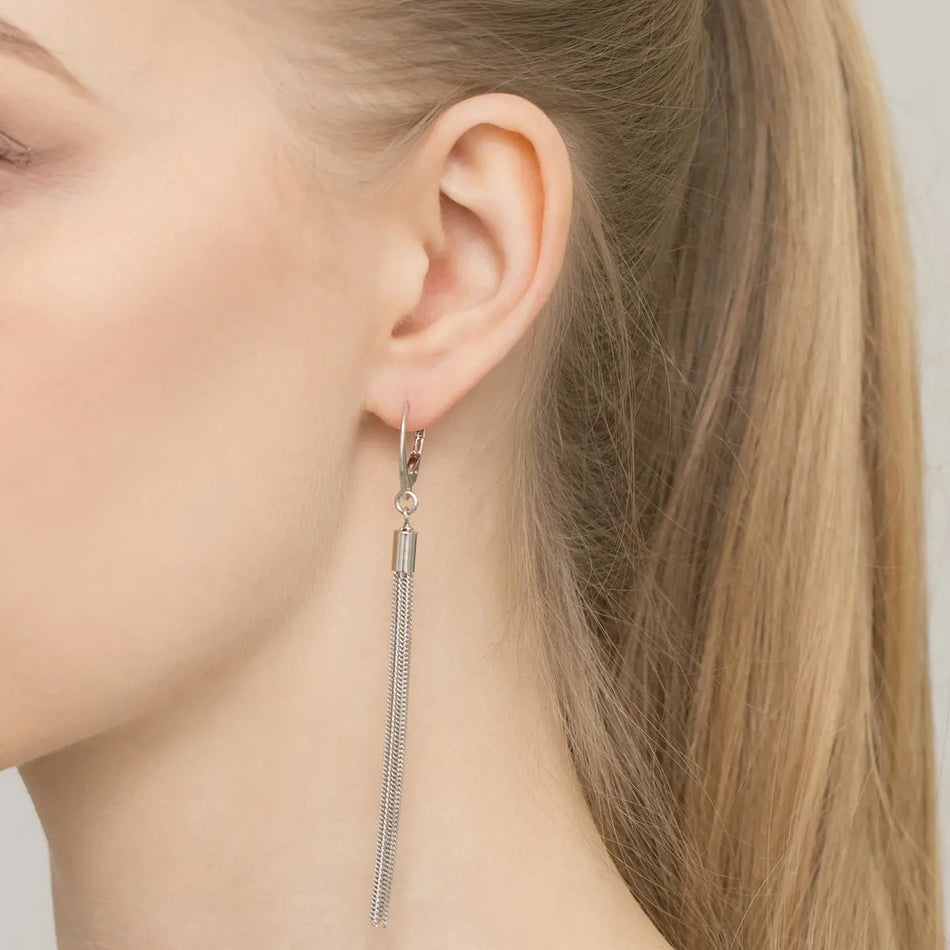 Stříbrný náušnice